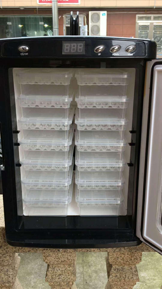 Crawling Creature Hatchery: The Ultimate Reptile Incubator-0